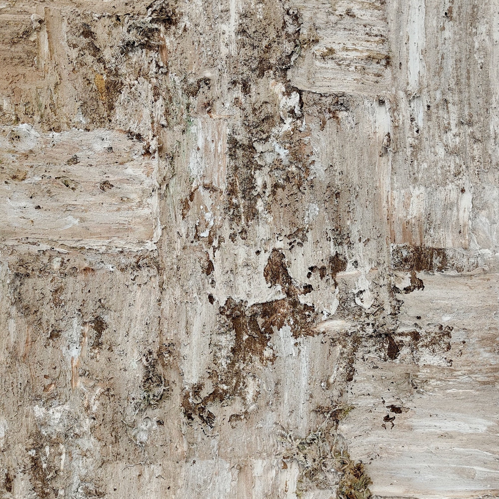 Earth | Abstract Acrylic Structure Painting
