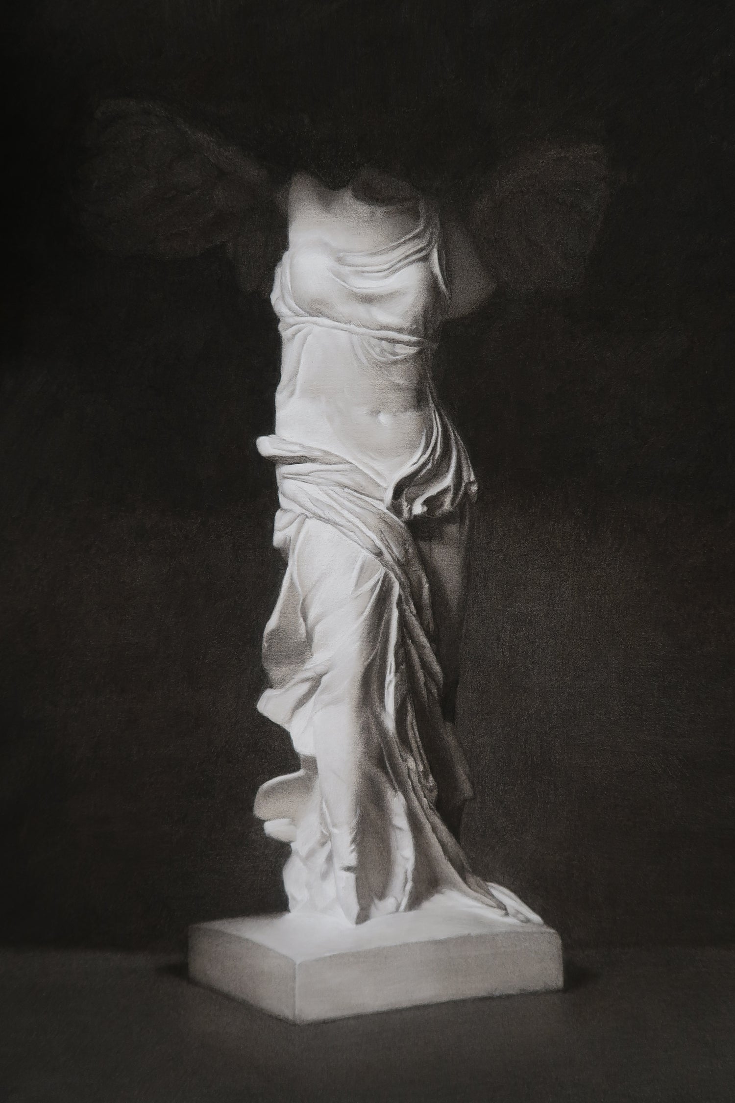 Sculpted Shadows - Masterful Drawings