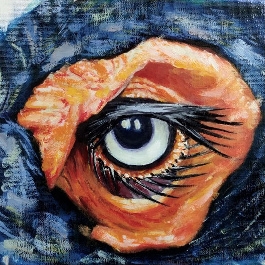 Volture Eye | Oil on board
