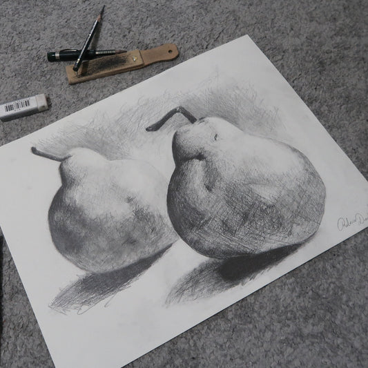 Pear Still Life Sketch