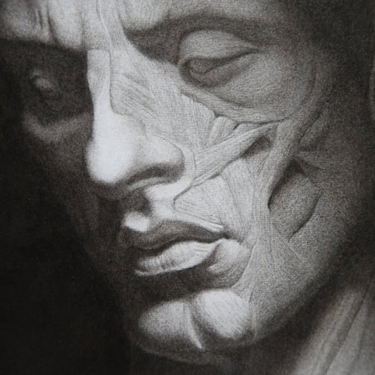 Écorché | Fine Art Print