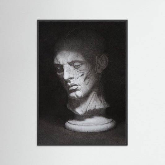 Écorché | Fine Art Print