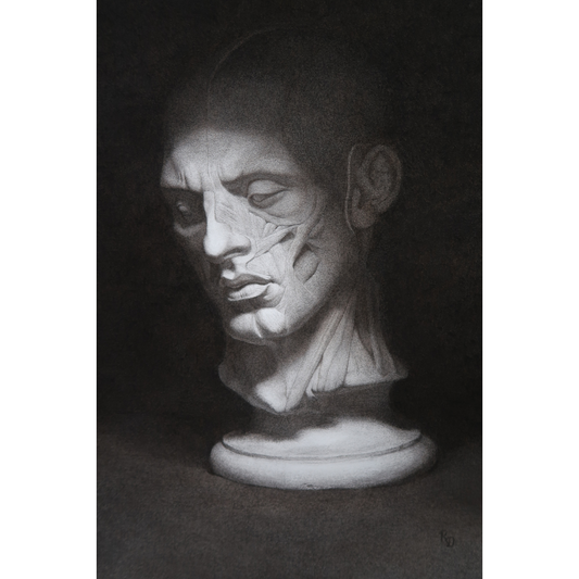 Écorché | Realist Charcoal Drawing