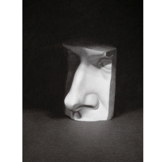 Nose Cast | Realist Charcoal Drawing